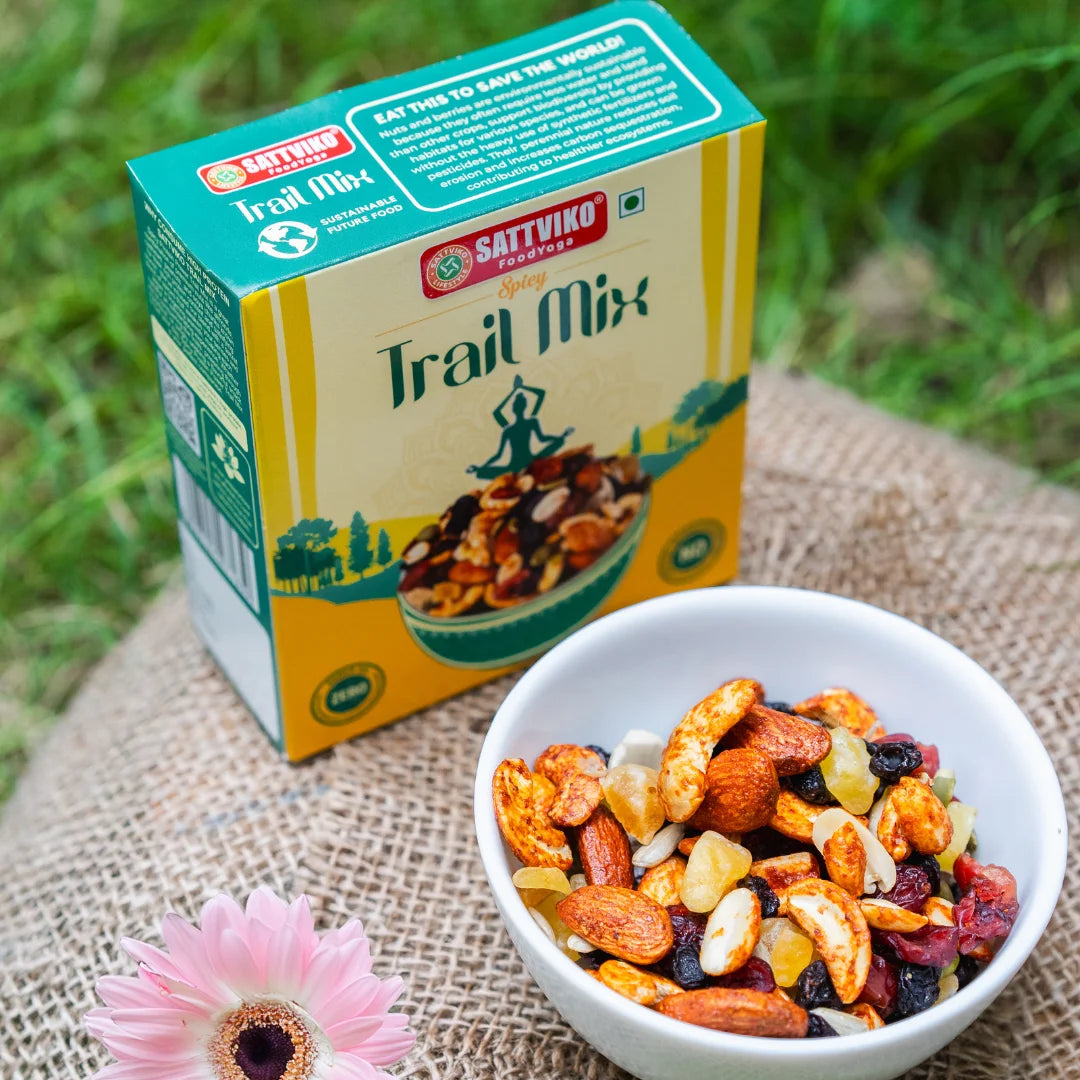 Sattviko Spicy Trail Mix 80 GM